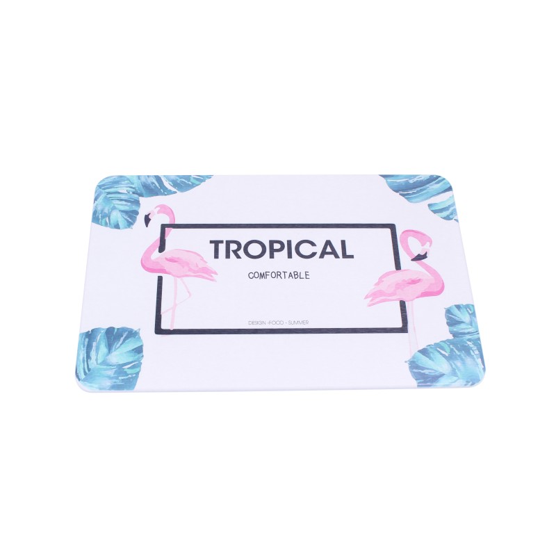 MATA DIATOMITOWA SZYBKOSCHNĄCA TROPICAL (PL07)
